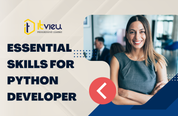 Essential Skills for Python Developer