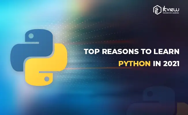 top reasons to learn python