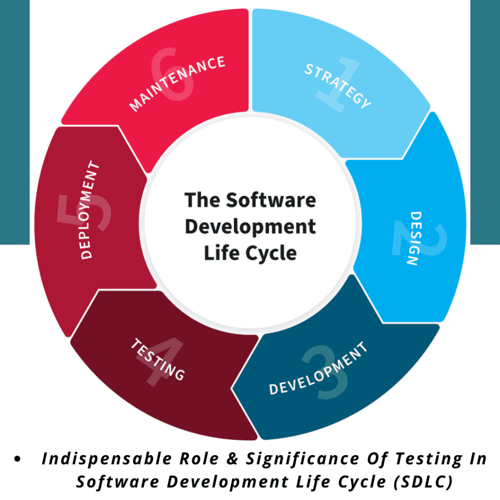 Software Training Institute